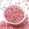 Glass Seed Beads SEED-H002-D-A810-2