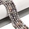 Electroplated Natural Botswana Agate Round Beads Strands G-L598-A03-01-1