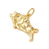 Rack Plating Brass Pendants KK-S372-07G-2