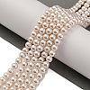 Baking Paint Pearlized Glass Pearl Round Bead Strands PEAR-H019-02A-02-2