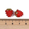 Handmade Lampwork Beads LAMP-A008-03-3