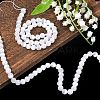 Natural Selenite Beads Strands LS-G-N328-025B-02-6