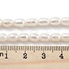 Natural Cultured Freshwater Pearl Beads Strands PEAR-P062-05C-5