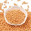 6/0 Glass Seed Beads SEED-L011-08A-19-2