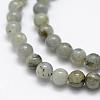 Natural Labradorite Beads Strands G-P322-29-6mm-3