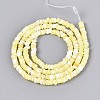 Natural Trochid Shell/Trochus Shell Beads Strands SSHEL-N040-21G-2