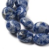 Natural Blue Spot Jasper Beads Strands G-M420-D08-01-4