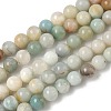 Natural Flower Amazonite Beads Strands G-F818-A01-6mm-2