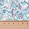 Transparent Glass Round Seed Beads SEED-B001-05A-07-4