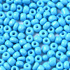 6/0 Glass Seed Beads SEED-S058-A-F298-3
