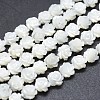 Natural White Shell Beads Strands SSHEL-P015-01A-10mm-1