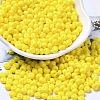 Baking Paint Glass Seed Beads SEED-B001-02A-03-1