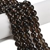 Natural Smoky Quartz Beads Strands G-C280-B09-10mm-1