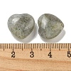 Natural Labradorite Beads G-P531-A13-01-3