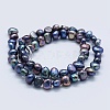 Natural Cultured Freshwater Pearl Beads Strands PEAR-K004-13A-01-2