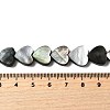 Natural Black Lip Shell Beads Strands BSHE-D300-06A-4