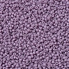 MIYUKI Round Rocailles Beads X-SEED-G007-RR2037-3