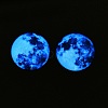 Fluorescent Glass Cabochons GGLA-T004-12B-4
