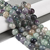 Natural Fluorite Beads Strands G-P530-B04-04-2