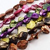 Natural Freshwater Shell Beads Strands S00EA-20x21mm-M-1