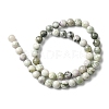 Natural Peace Jade Beads Strands G-E598-04B-2