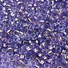 Glass Seed Beads SEED-S042-04A-08-3