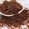 Baking Paint Glass Seed Beads SEED-S042-18B-01-1