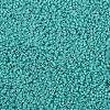 TOHO 11/0 Round Beads X-SEED-TR11-0055-2