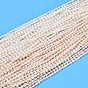Natural Cultured Freshwater Pearl Beads Strands PEAR-N024-03-2AB-01-2
