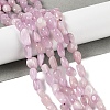 Natural Kunzite Beads Strands G-A254-B02-01-2