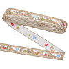 Polyester Embroidery Ribbon OCOR-WH0101-160A-1