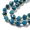 Natural Apatite Beads Strands G-M443-B06-02-4