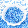 Glass Bugle Beads SEED-N007-28E-2