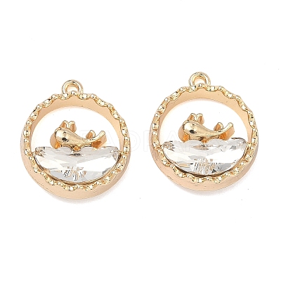 Alloy Glass Pendants FIND-B061-05G-A02-1