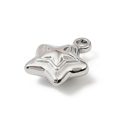 304 Stainless Steel Charms X-STAS-F327-03C-P-1