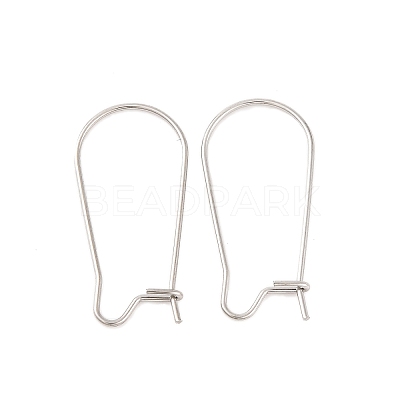 Tarnish Resistant 316 Surgical Stainless Steel Hook Earrings STAS-E009-5-1