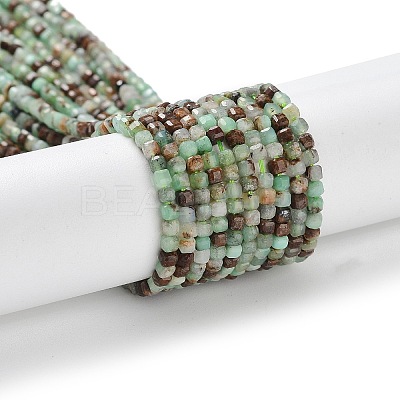 Natural Chrysoprase Beads Strands X-G-P514-B03-01-1