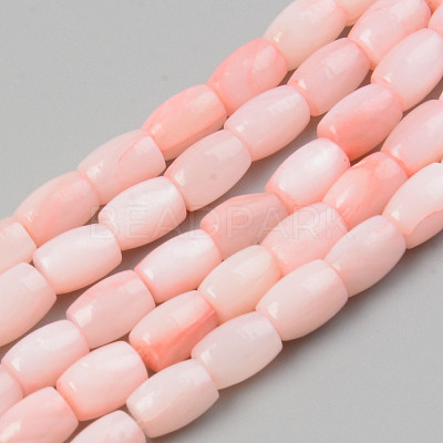 Natural Freshwater Shell Beads Strand X-SHEL-T017-39B-1