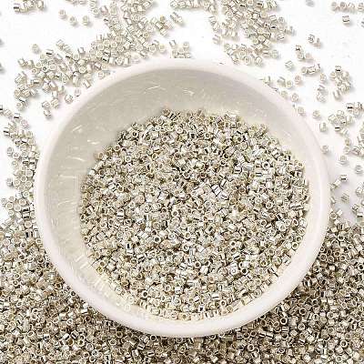 Electroplate Glass Seed Beads SEED-S042-01B-08-1