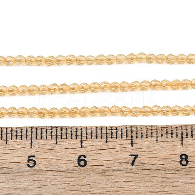 Transparent Glass Beads Strands GLAA-F094-A10-1