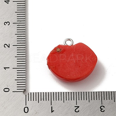 Opaque Resin Pendants FIND-Z043-03B-1