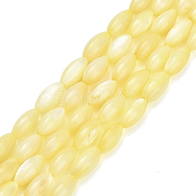 Natural Freshwater Shell Beads Strands SHEL-C010-01B-1