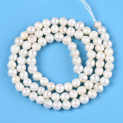 Natural Cultured Freshwater Pearl Beads Strands PEAR-N013-04F-1
