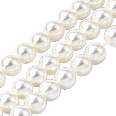 Rainbow Plated Shell Pearl Bead Strands X-BSHE-L025-02-8mm-1