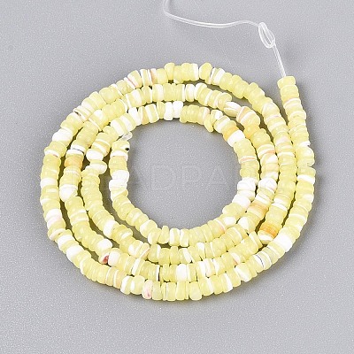 Natural Trochid Shell/Trochus Shell Beads Strands SSHEL-N040-21G-1
