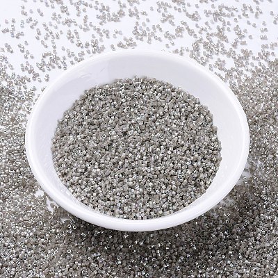 MIYUKI Delica Beads X-SEED-J020-DB1877-1