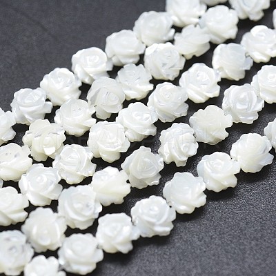 Natural White Shell Beads Strands SSHEL-P015-01A-10mm-1