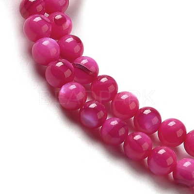 Natural Freshwater Shell Beads Strands X-SHEL-H003-03F-1