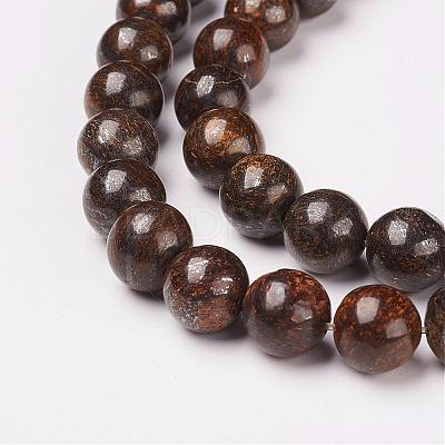 Natural Bronzite Beads Strands G-D169-01-10mm-1
