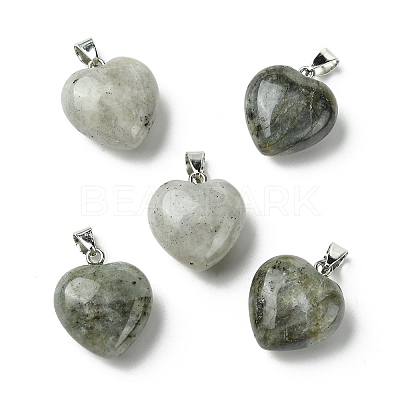 Natural Labradorite Pendants G-F820-10A-06-1